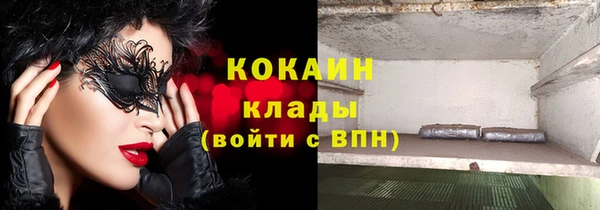 стаф Балахна