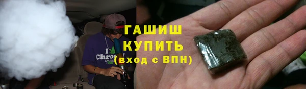 стаф Балахна