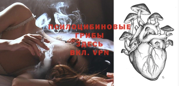 кокаин Белокуриха